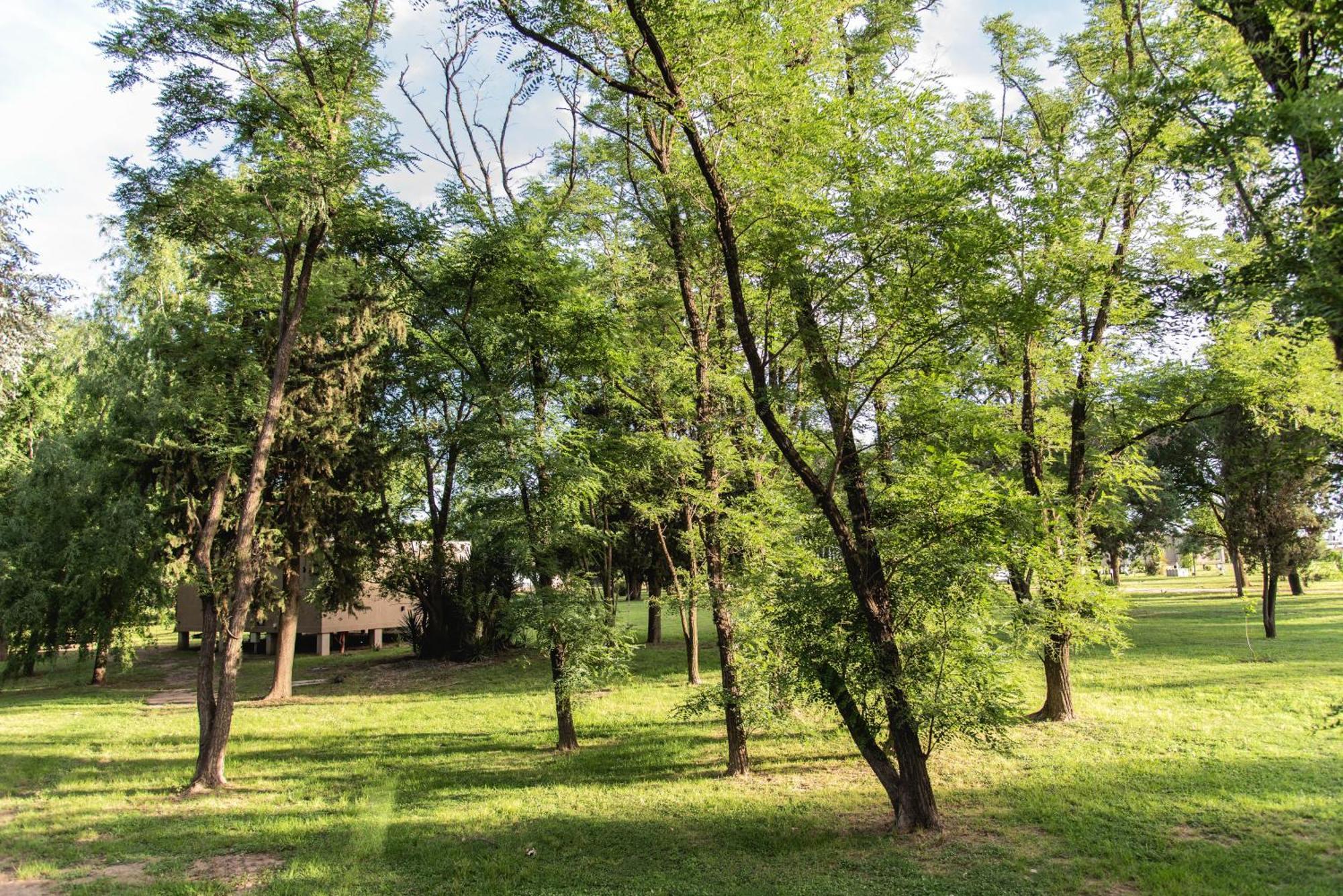 La Quinta, Cabanas De Campo Villa Nueva  Zewnętrze zdjęcie